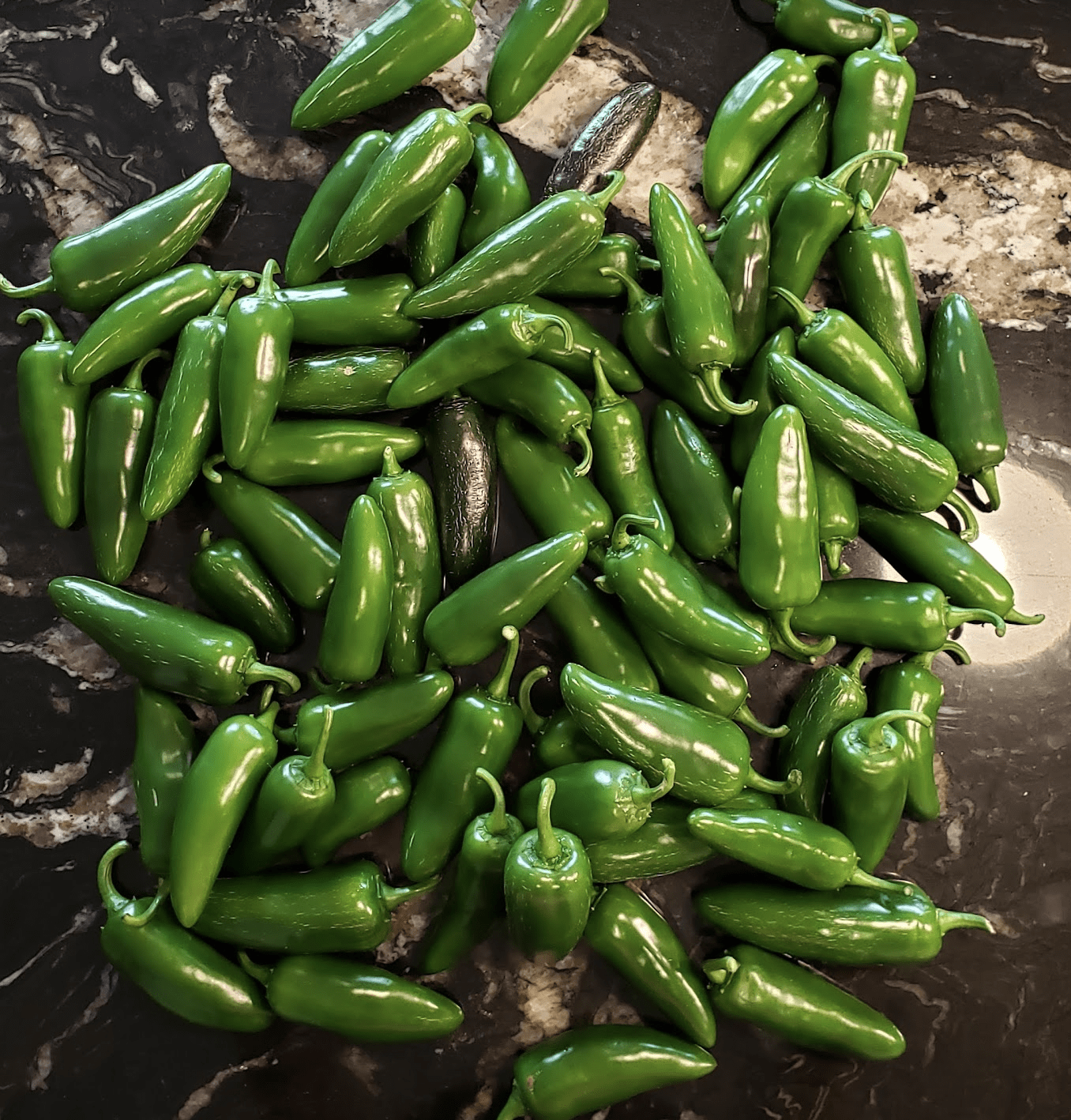 Jalapeno Peppers
