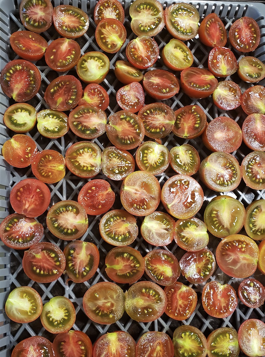 dehydrated tomatoes