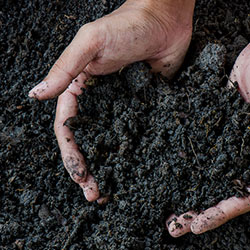 Soil & Mulch, Niagara Garden Centre