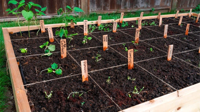 Square Foot Gardening