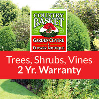 Trees, Shrubs, Vines Niagara