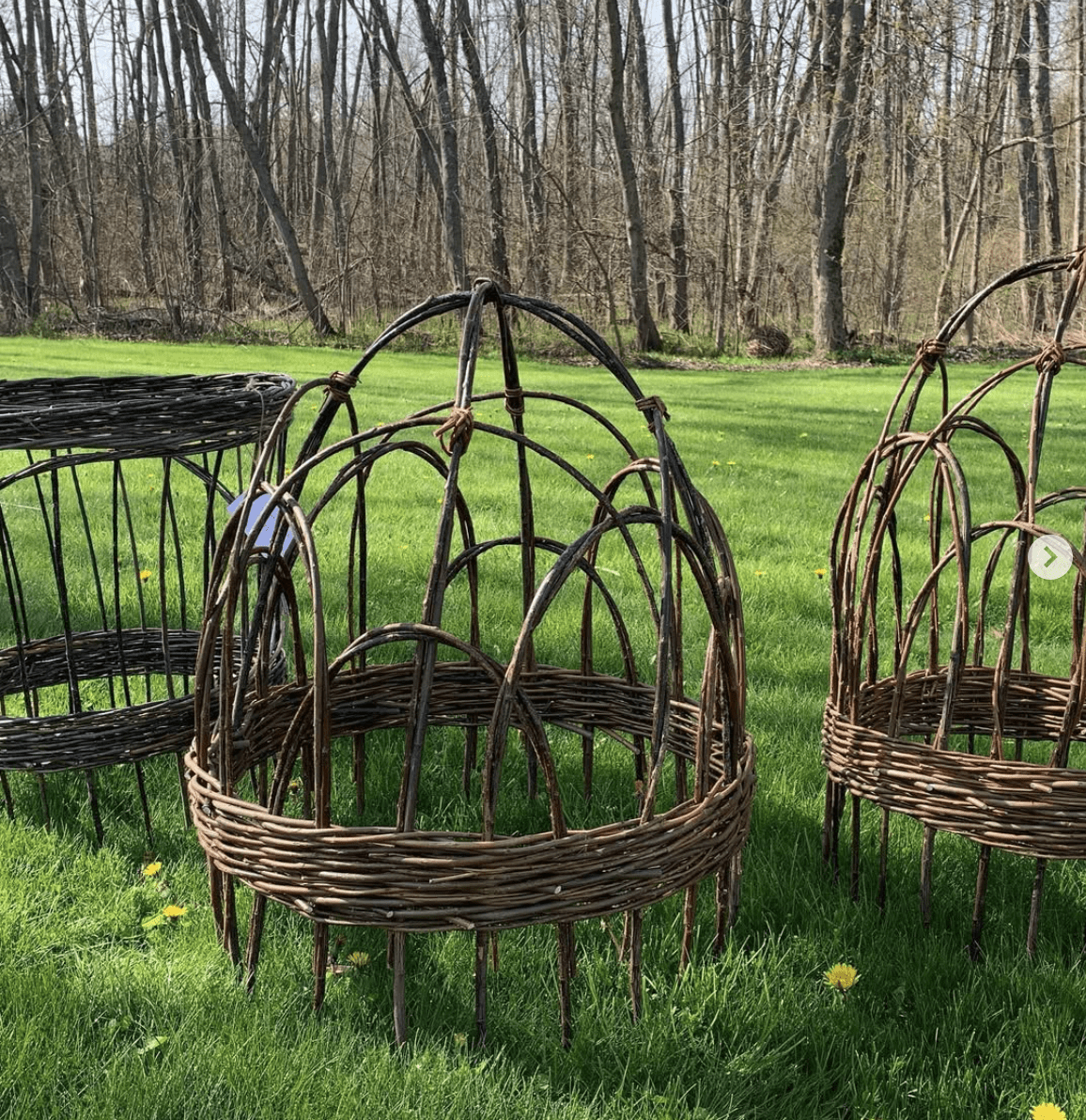 willow weaving